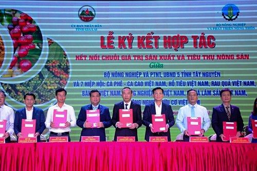 Kết nối chuỗi giá trị sản xuất và tiêu thụ nông sản Tây Nguyên