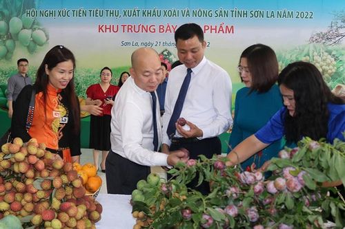 Tạo cơ hội cho các doanh nghiệp trong và ngoài nước tiêu thụ nông sản Sơn La