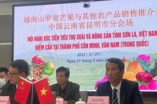 Đẩy mạnh hoạt động xúc tiến tiêu thụ xoài và nông sản Việt