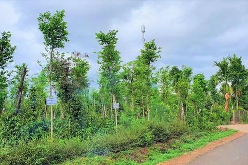 Chính quyền vào cuộc vụ bà con dân tộc điêu đứng vì giao 'sổ đỏ' cho người mua tách thửa
