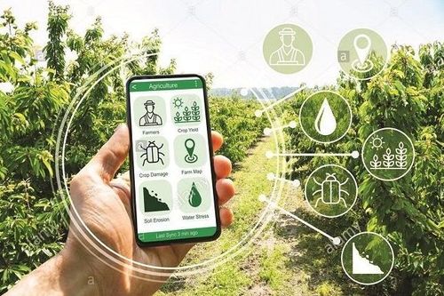 Nam Định đẩy mạnh chuyển đổi số trong nông nghiệp
