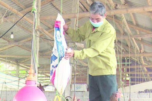 Cựu chiến binh vượt khó làm giàu