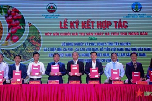 Diễn đàn 'Kết nối chuỗi giá trị sản xuất và tiêu thụ nông sản vùng Tây Nguyên tại Gia Lai'