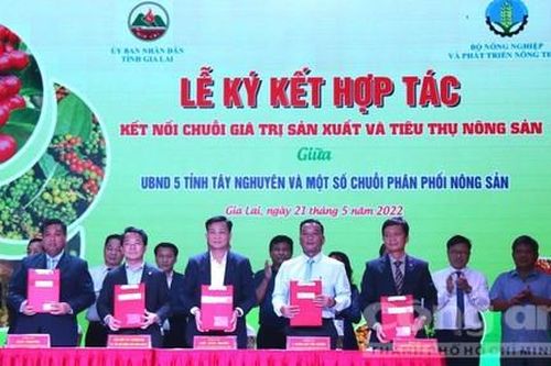 Diễn đàn kết nối chuỗi giá trị sản xuất, tiêu thụ nông sản Tây Nguyên