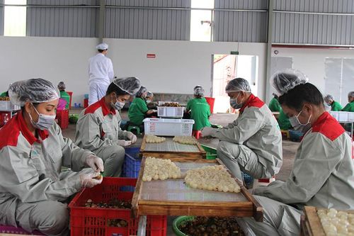 Chủ động xây dựng các kịch bản tiêu thụ mặt hàng trái cây