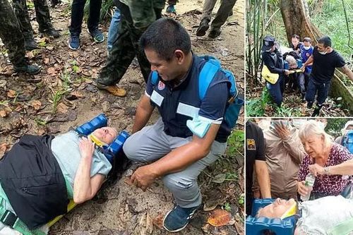 Cụ bà 75 tuổi sống sót thần kỳ sau 7 ngày mất tích trong rừng