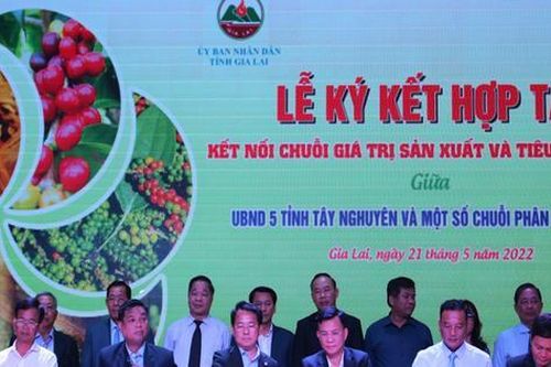 Diễn đàn kết nối chuỗi giá trị sản xuất và tiêu thụ nông sản vùng Tây Nguyên tại Gia Lai