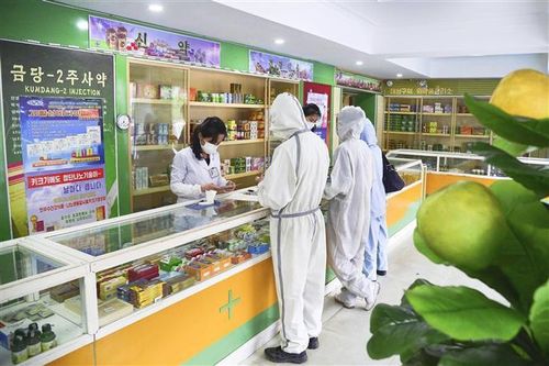 COVID-19: Nhật Bản ngỏ ý sẵn sàng viện trợ Triều Tiên chống dịch