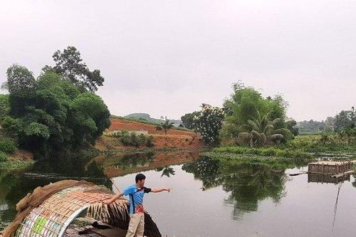 Thanh Hóa: Cá chết khi nước đập đổi màu xanh rêu, đen kịt