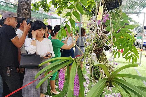 Rực rỡ lễ hội hoa lan TP Đà Nẵng năm 2022