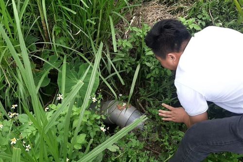 Nhiều cá lồng chết bất thường ở đập Trà Si