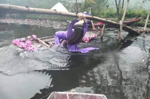 Méo mặt với những kiểu 'tạo dáng' bất đắc dĩ khi check-in bên hồ sen