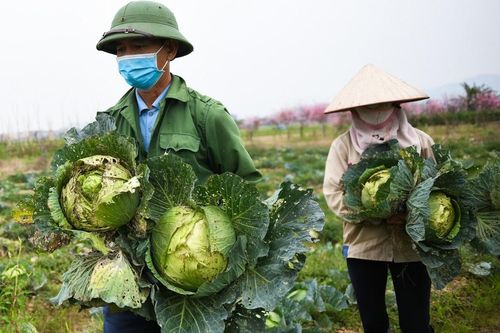 Hơn 1.600 câu hỏi của nông dân gửi Thủ tướng tại đối thoại lần 4