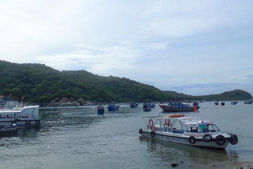Ninh Thuận: Chấn chỉnh hoạt động du lịch không đúng quy định trên vịnh Vĩnh Hy, Bãi Kinh