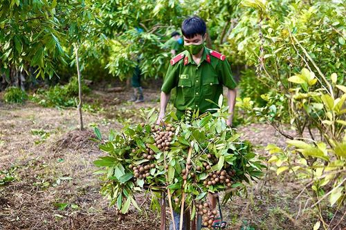Hành động quyết liệt hơn để nâng cao chất lượng tổ chức đảng và đảng viên