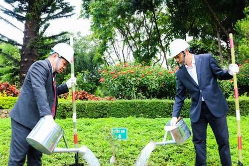 Gia Lai tiếp nhận 24 cây hoa anh đào do Nhật Bản trao tặng