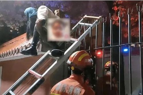 Trèo tường đi hẹn hò, nữ sinh gặp sự cố 'muối mặt'
