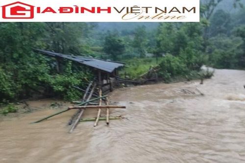 Nông dân Nghệ An trắng tay vì mưa bất thường đầu hè
