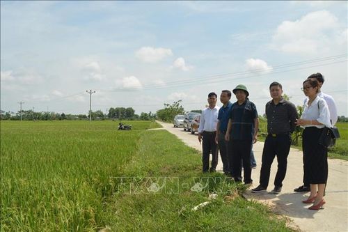 Ba huyện, thành phố hoàn thành nhiệm vụ xây dựng/đạt chuẩn nông thôn mới năm 2020