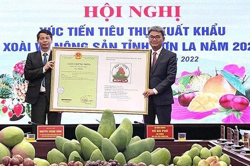 3 sản phẩm nông sản tỉnh Sơn La được cấp giấy chứng nhận đăng ký nhãn hiệu