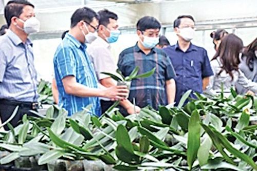 Mê Linh hướng đến phát triển nông thôn bền vững