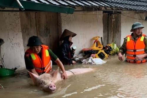 Công an Tam Đảo giúp dân sơ tán tài sản trong mưa lũ