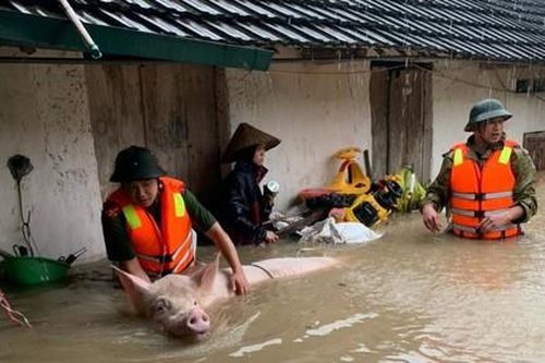 Công an dầm mình dưới nước, giúp người dân chạy lũ