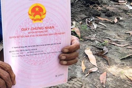 Bình Định: Đề xuất xử lý 7 cán bộ sai phạm về đất đai