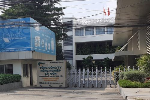 Thành ủy thành phố Hồ Chí Minh kỷ luật nhiều đảng viên vi phạm