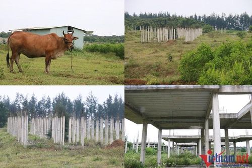 Dự án đô thị sinh thái 'ôm' đất vàng ven biển Quảng Trị treo nhiều năm