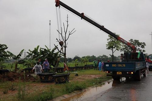 Vĩnh Phúc: Cưỡng chế các hộ dân vi phạm Luật Đất đai tại điểm 'nóng'