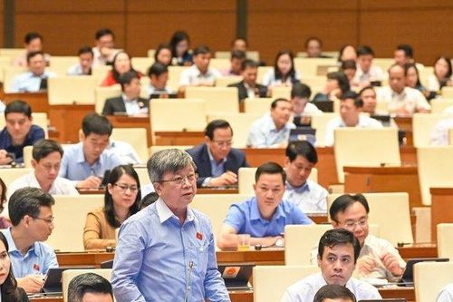 'Không nên chia cắt thành nhiều luật, lợi sẽ bất cập hại'
