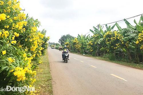 Đô thị hóa gắn với xây dựng nông thôn văn minh