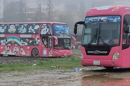 Yêu cầu kiểm tra, rà soát xe biển số nước ngoài hoạt động vận tải khách