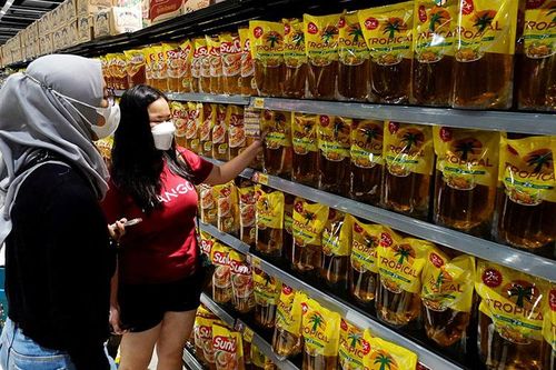 Thế giới vẫn đứng trước nguy cơ thiếu dầu ăn dù xuất khẩu dầu cọ của Indonesia được nối lại
