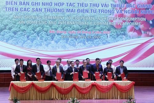 Bắc Giang kết nối tiêu thụ vải thiều