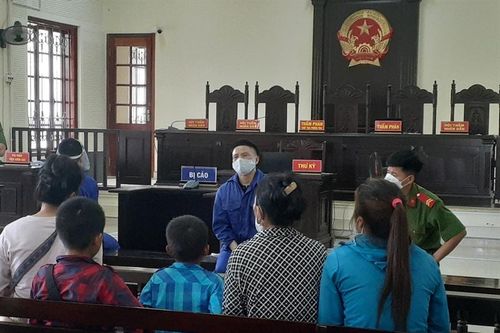 Nước mắt người thân bị cáo vận chuyển hơn 1 tạ ma túy