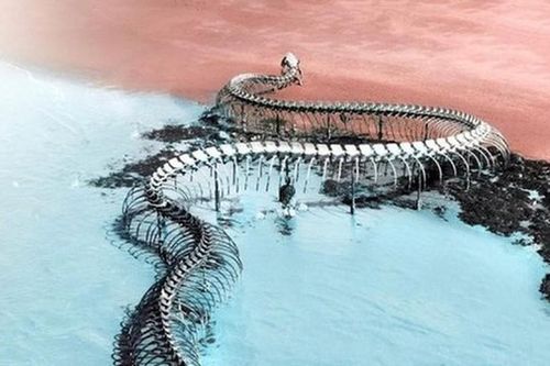 Bộ xương quái vật khổng lồ trồi lên giữa mặt biển