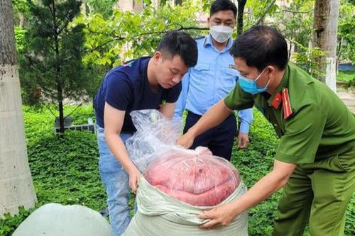 Ngăn chặn hàng trăm kg nội tạng động vật bốc mùi thối trên địa bàn Lai Châu