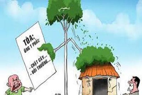 Kiện nhau ra tòa vì... trồng cây gãy đổ sang nhà hàng xóm