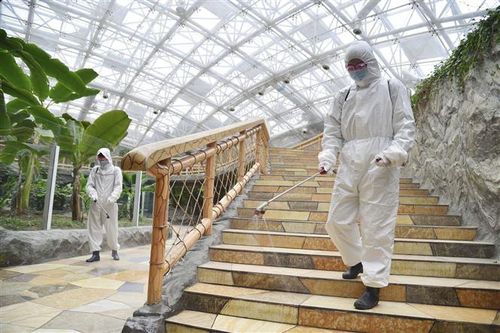 COVID-19 tới 6h sáng 25/5: Dự báo dịch trong 5 năm tới; Triều Tiên giảm mạnh ca sốt và tử vong