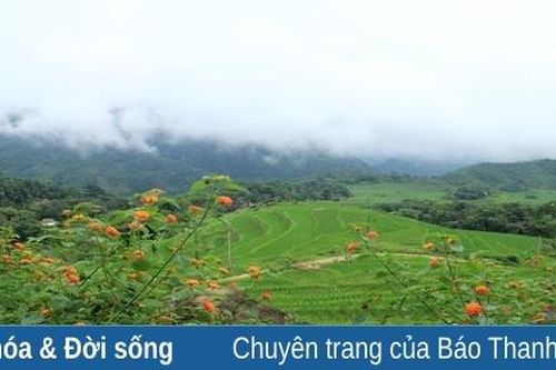 Trải nghiệm bản Đôn