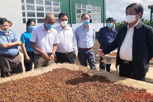Nâng tầm vị thế cho nông sản vùng Tây Nguyên