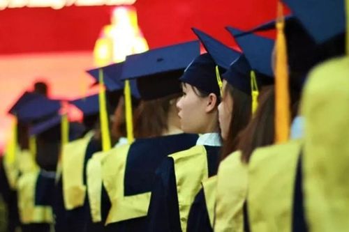 Tiến sĩ thu nhập 8 triệu/tháng
