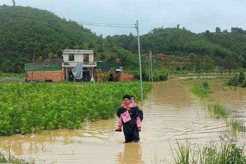 Mưa lớn kéo dài gây ngập nhiều diện tích cây trồng tại Lâm Đồng