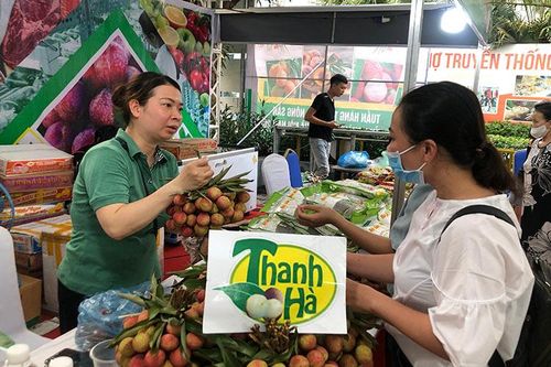 Hà Nội khai mạc Tuần hàng trái cây, nông sản