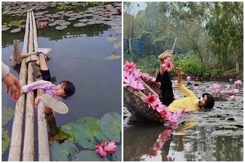 Mải mê chụp ảnh sen, nhiều cô gái nhận về cái kết 'đắng ngắt'
