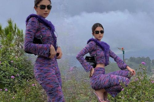 Ngọc Trinh diện nguyên cây tím, cộng đồng mạng nói đùa: 'Kendall Trà Vinh'
