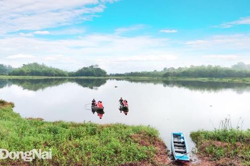 Bảo vệ đa dạng sinh học vùng đất ngập nước Bàu Sấu: Nhiều thách thức
