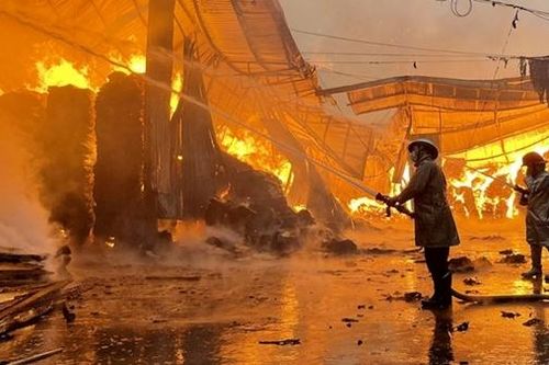 Giải pháp nào hạn chế tác động tới môi trường sau các vụ cháy?
